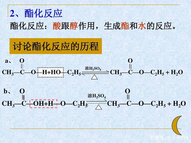 国产爱片免费观看视频：抗氧化剂：守护健康的天然力量