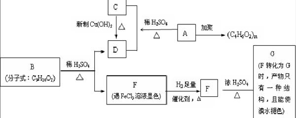 超临界萃取装置：开创高效提取新时代